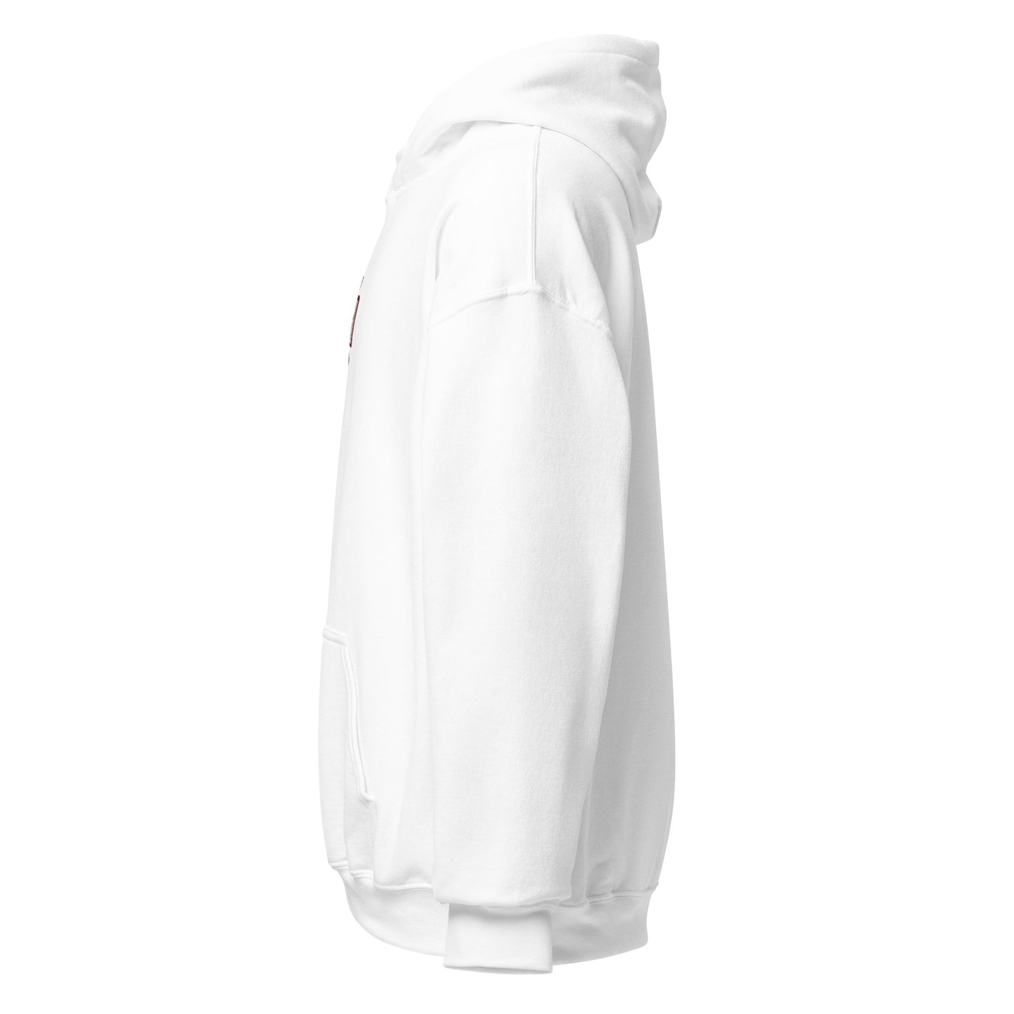 Swiss Cheese Embroidered Hoodie